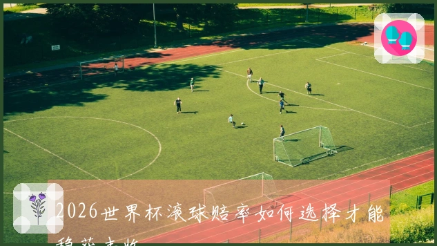 2026世界杯滚球赔率如何选择才能稳获丰收