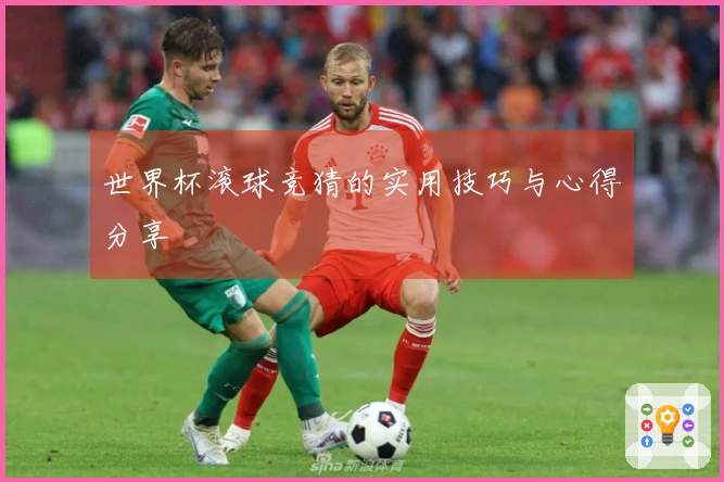 世界杯滚球竞猜的实用技巧与心得分享