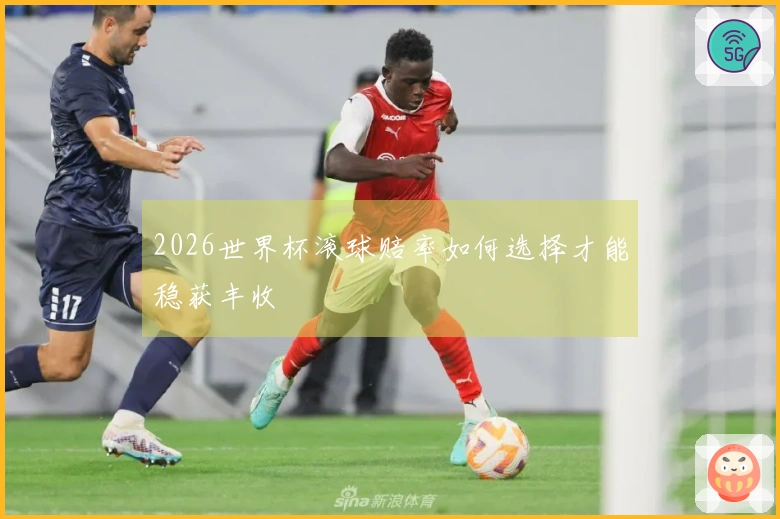 2026世界杯滚球赔率如何选择才能稳获丰收