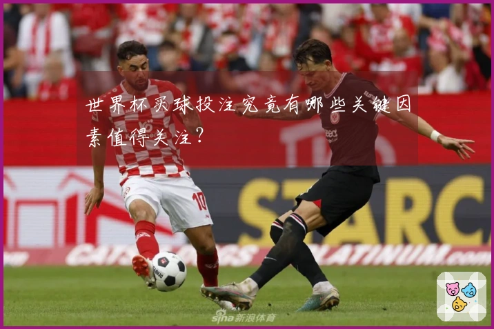 世界杯买球投注究竟有哪些关键因素值得关注？