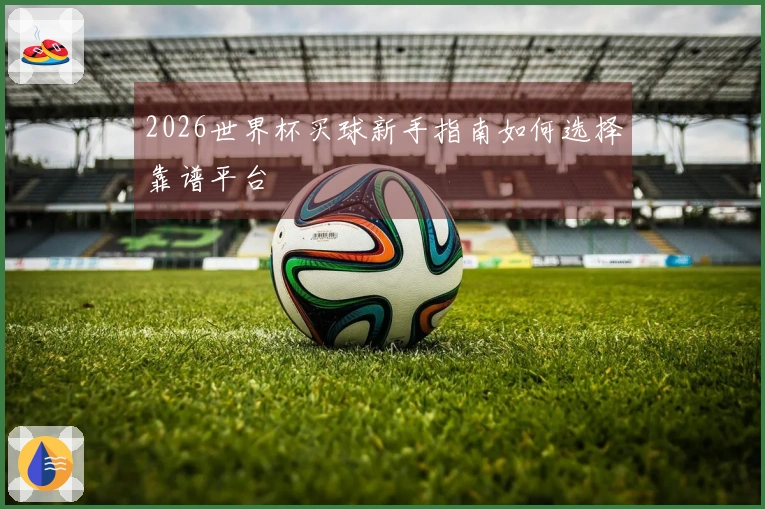 2026世界杯买球新手指南如何选择靠谱平台