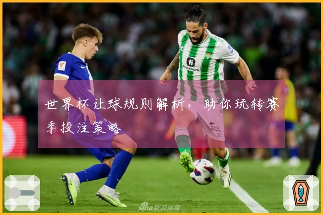 世界杯让球规则解析，助你玩转赛季投注策略