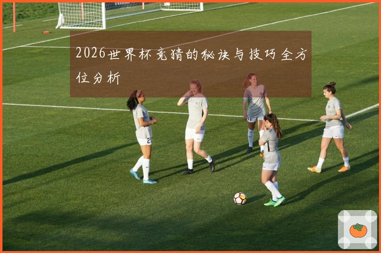 2026世界杯竞猜的秘诀与技巧全方位分析