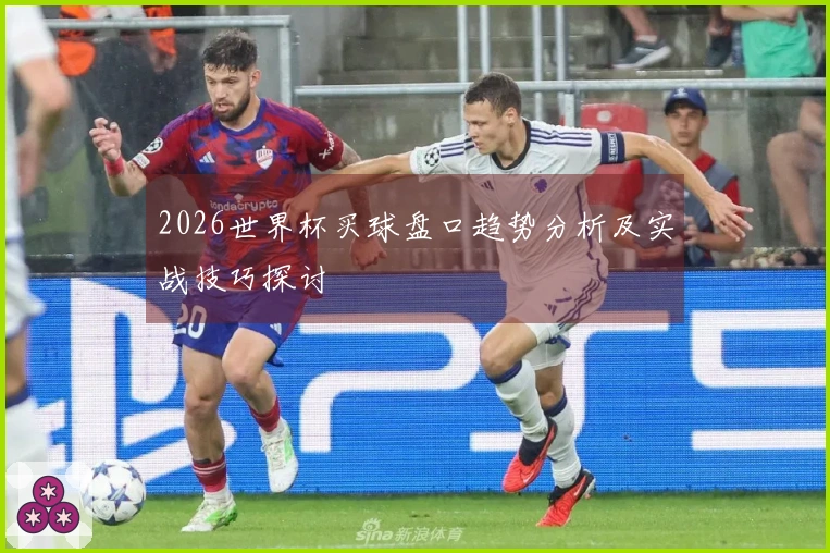 2026世界杯买球盘口趋势分析及实战技巧探讨