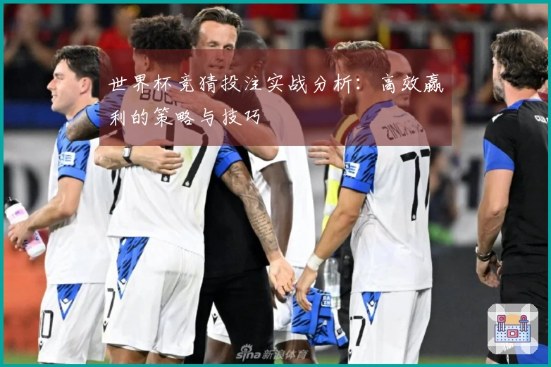 世界杯竞猜投注实战分析：高效赢利的策略与技巧
