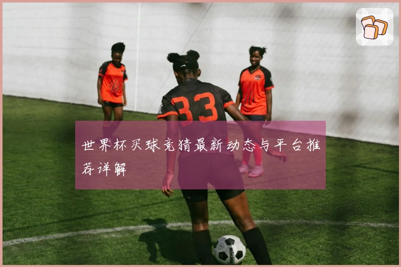 世界杯买球竞猜最新动态与平台推荐详解