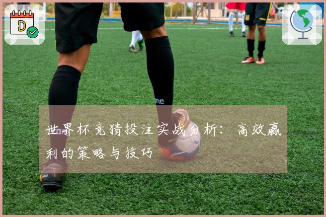 世界杯竞猜投注实战分析：高效赢利的策略与技巧