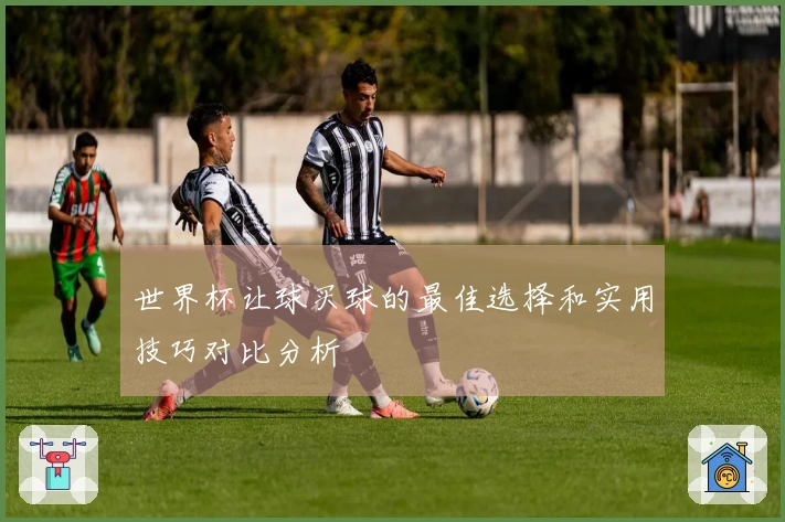 世界杯让球买球的最佳选择和实用技巧对比分析