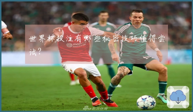 世界杯投注有哪些秘密技巧值得尝试？