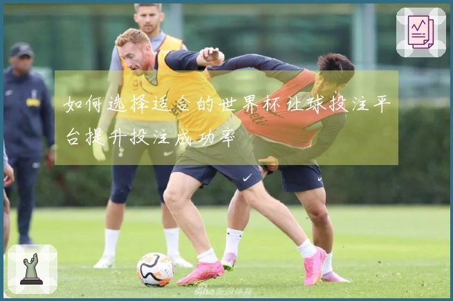 如何选择适合的世界杯让球投注平台提升投注成功率