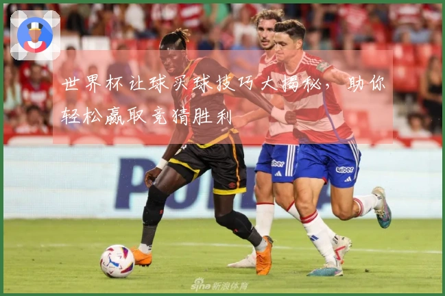 世界杯让球买球技巧大揭秘，助你轻松赢取竞猜胜利
