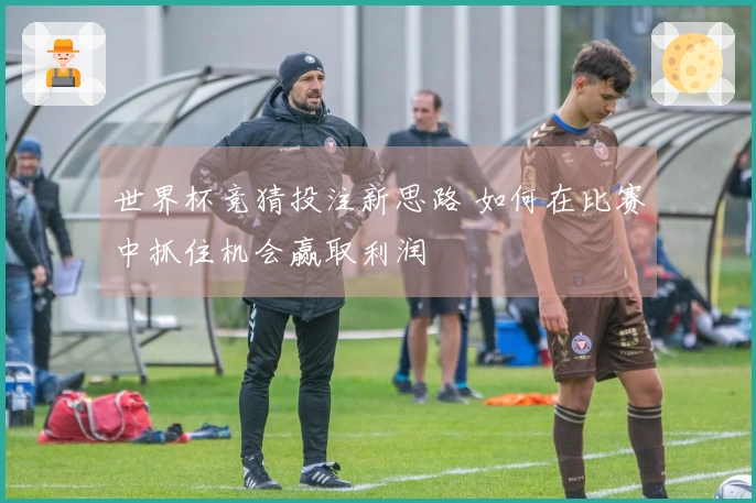 世界杯竞猜投注新思路 如何在比赛中抓住机会赢取利润